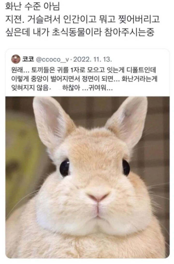 토끼가 진심 빡칠때