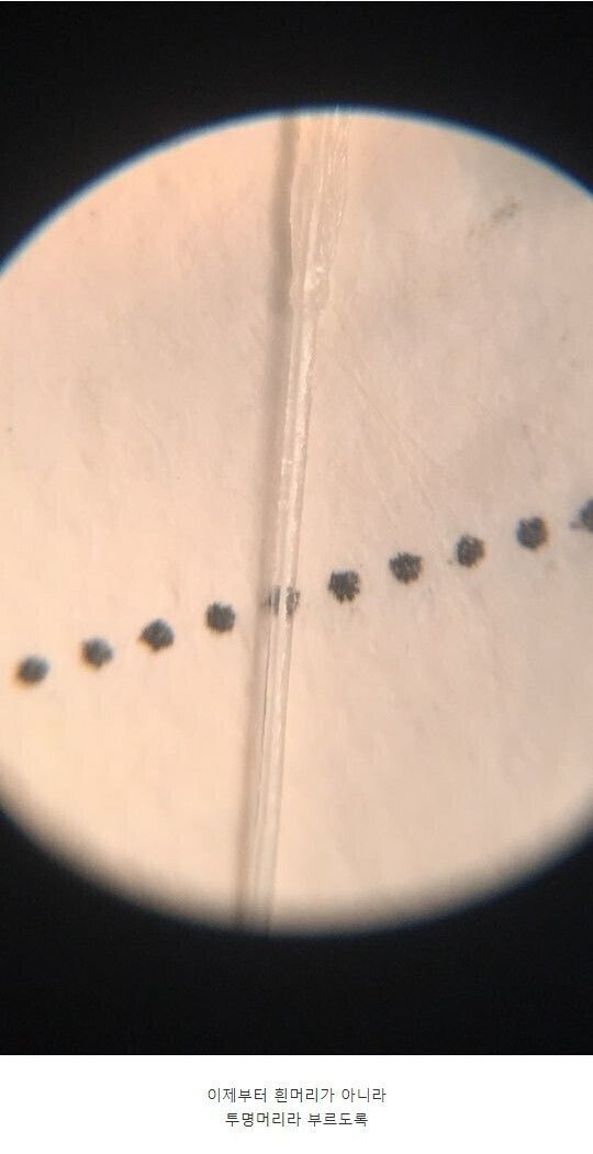nokbeon.net-흰 머리를 현미경으로 관찰해 보았다-1번 이미지