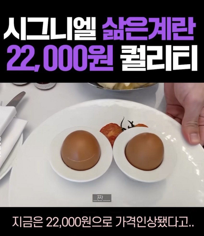 시그니엘 삶은계란 가격 - 에누리 쇼핑지식 자유게시판