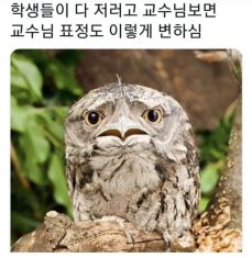 썸네일-교수랑 학생이랑-이미지