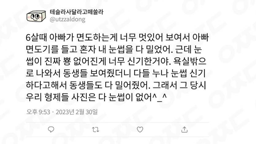 눈썹 없는 형제