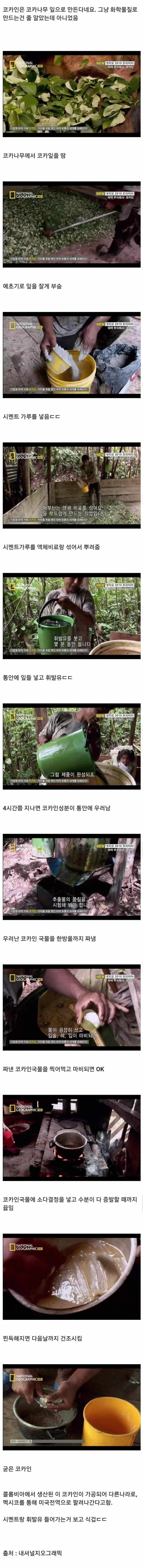 적나라한 코/카인 제조 과정