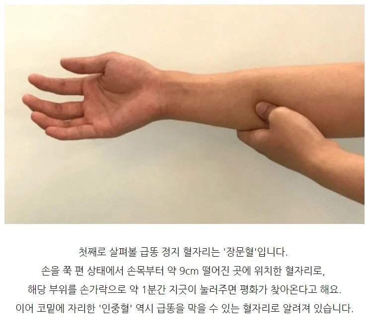 급 똥 막아주는 장문혈 후기 - 에누리 쇼핑지식 자유게시판