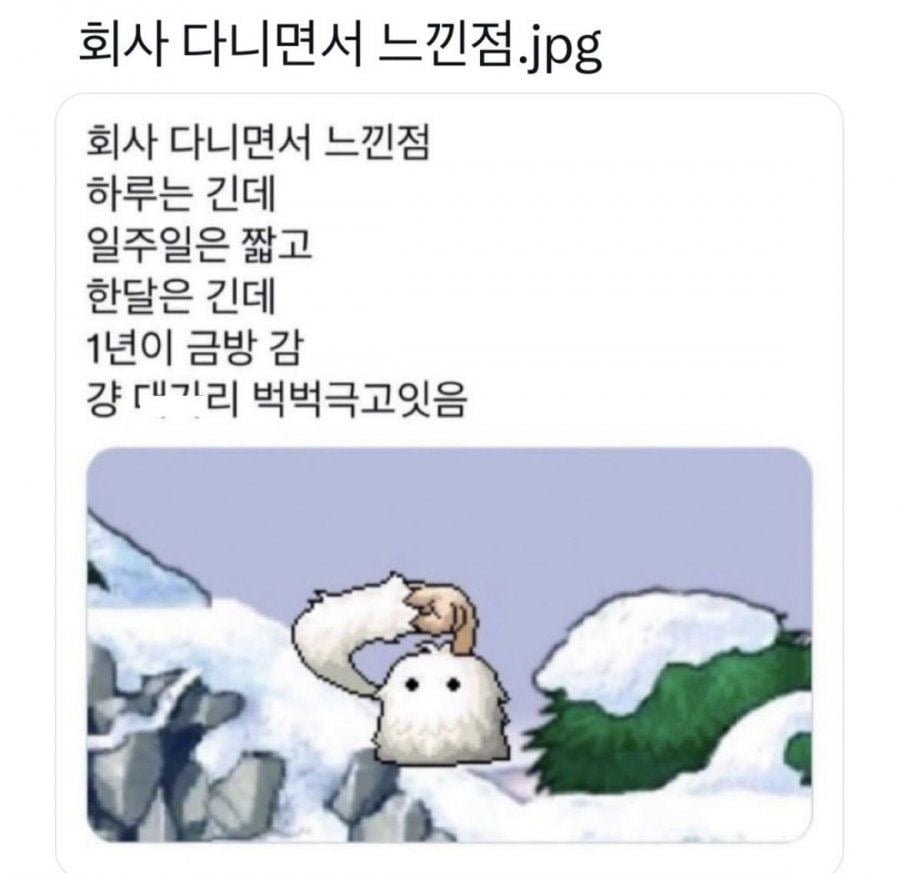 썸네일-회사 다녀보니 느낀점-이미지