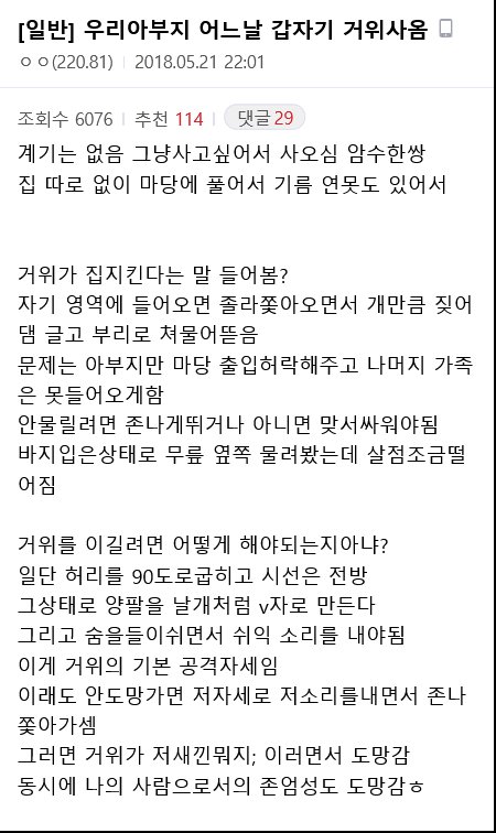 썸네일-우리 아부지 갑자기 거위 사오심-이미지