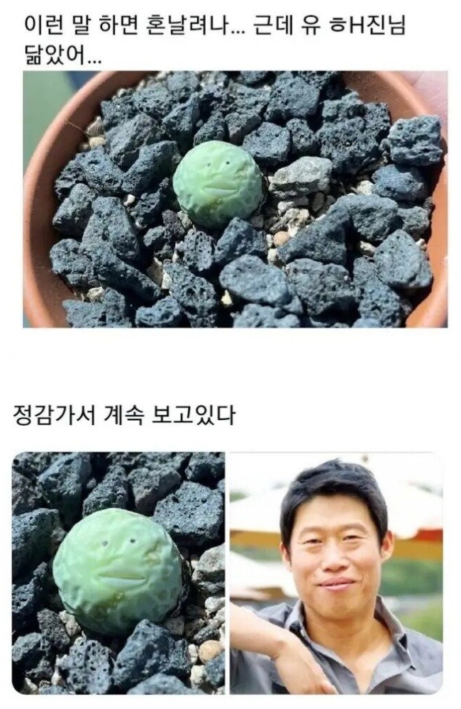 nokbeon.net-유해진 식물-1번 이미지