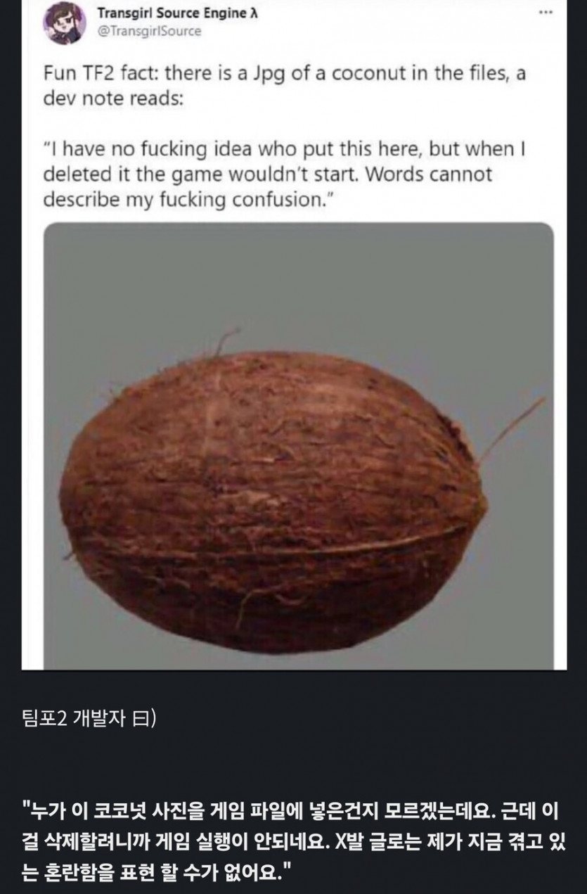 nokbeon.net-누가 게임파일에 코코넛 사진 넣음-1번 이미지