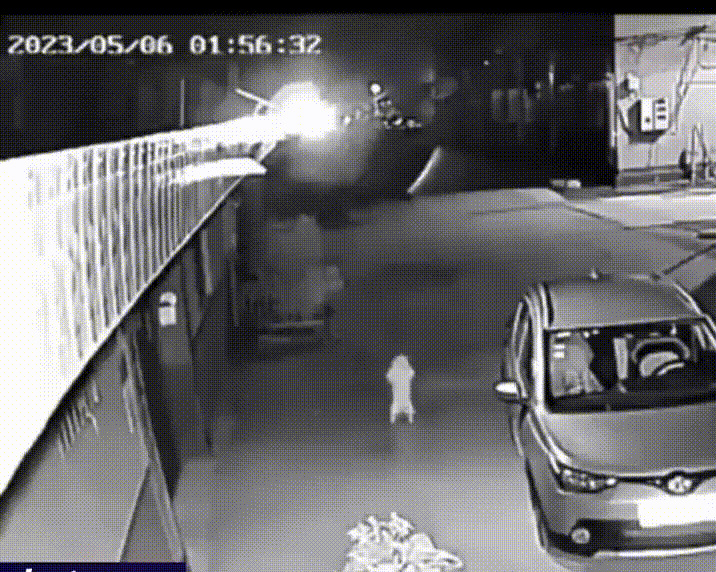 nokbeon.net-아무도 없는 야밤 CCTV에 찍힌 멍뭉이의 모습-1번 이미지
