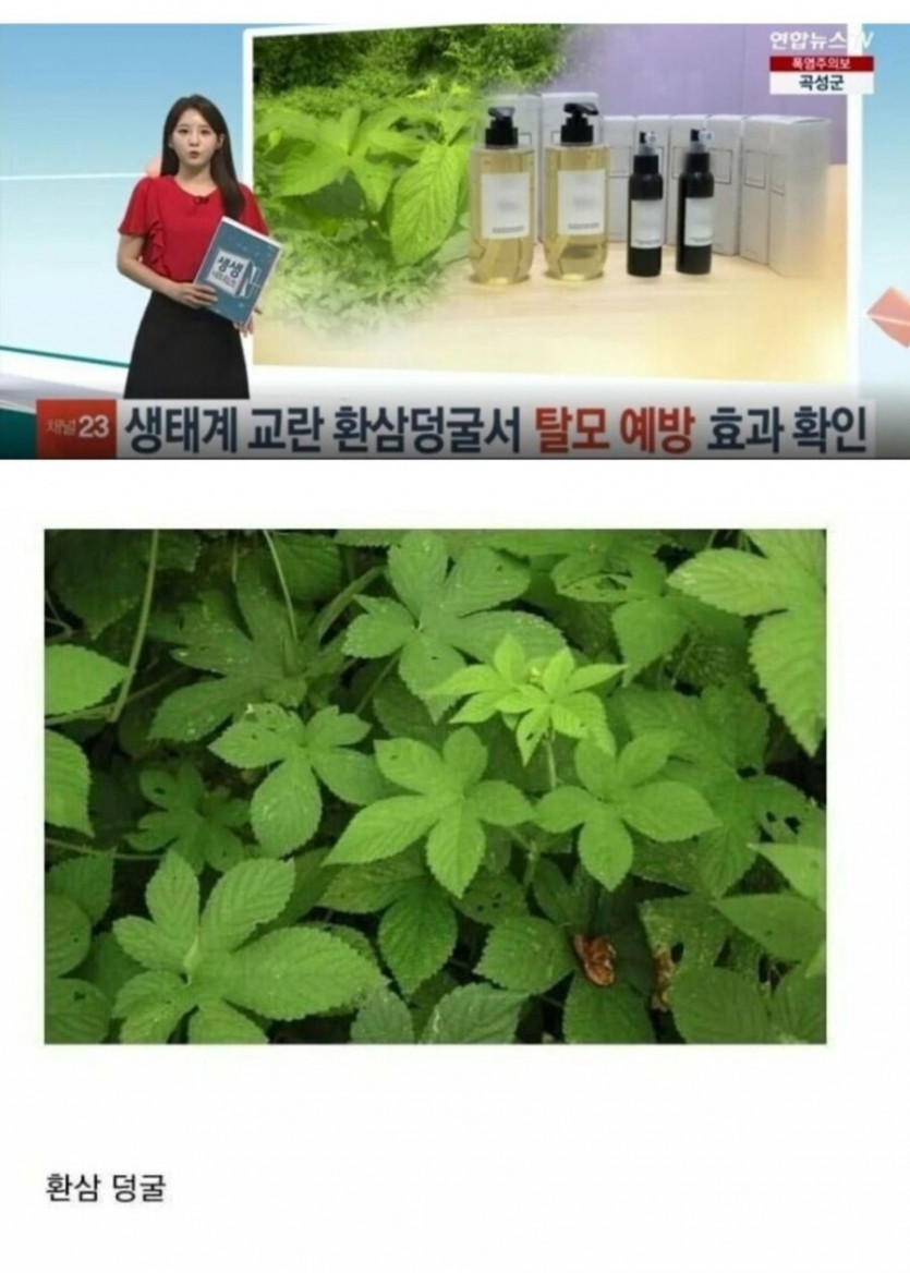 생태계 교란종 절멸 예정 - 에누리 쇼핑지식 자유게시판