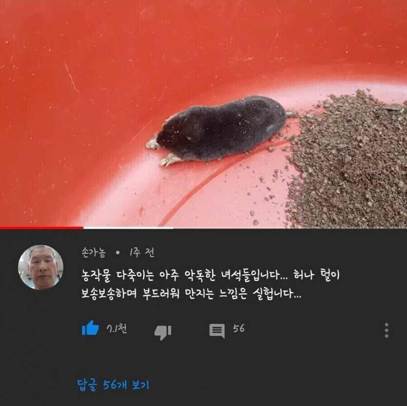 썸네일-농작물을 다 죽이는 무시무시한 동물-이미지