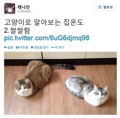 썸네일-고양이 온도계-이미지