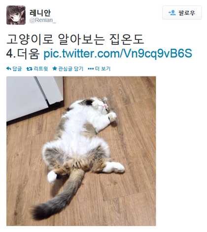 nokbeon.net-고양이 온도계-4번 이미지