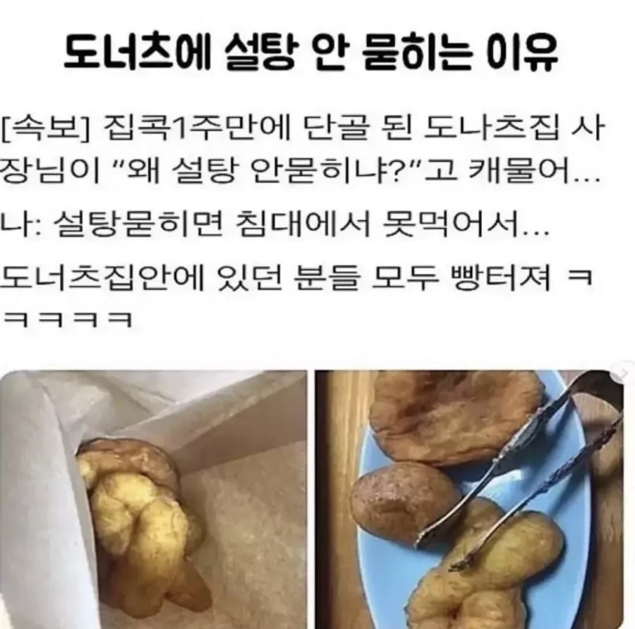 도너츠에 설탕 안 묻히는 이유 - 에누리 쇼핑지식 자유게시판