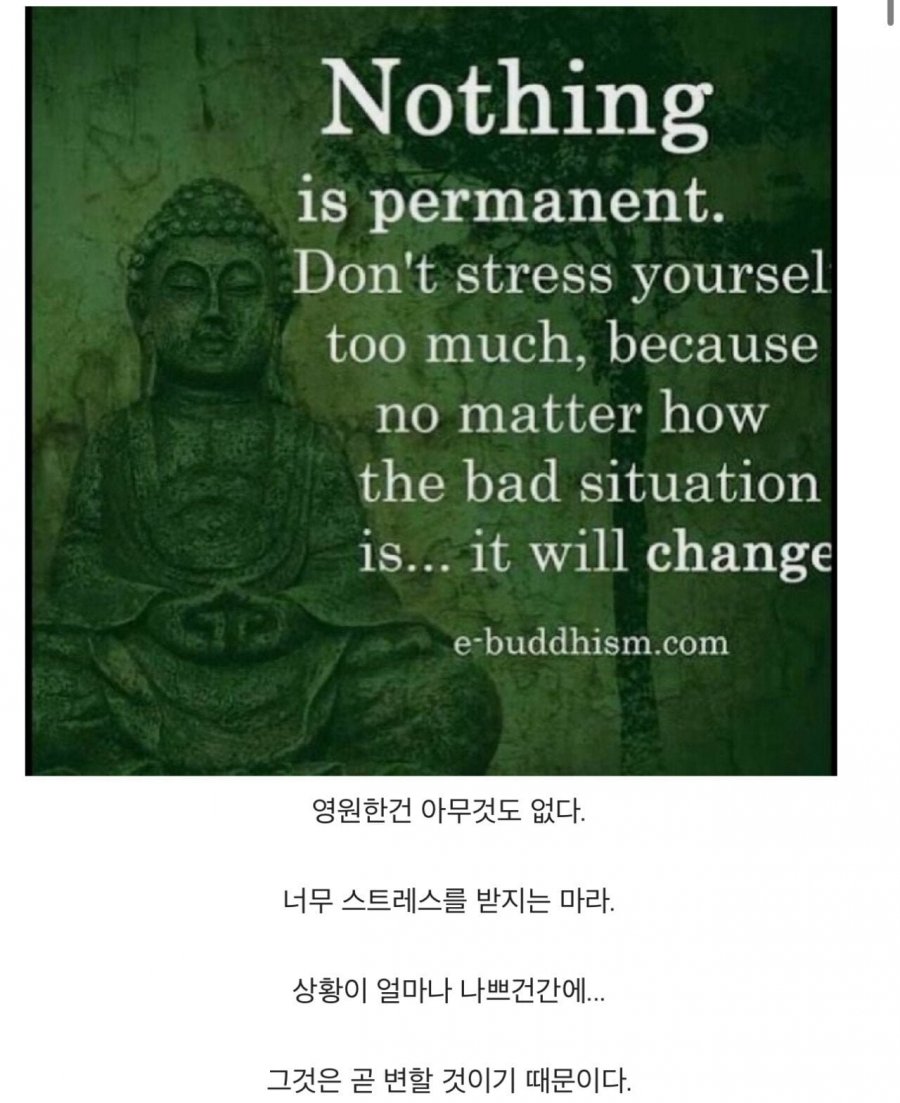 마음이 힘들때 보는 불교 명언 모음 | 인스티즈
