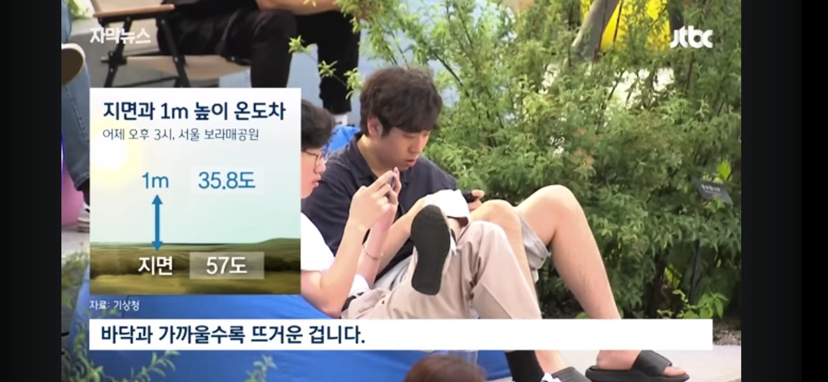 키가 작을수록 더위에 약한 이유 - 에누리 쇼핑지식 자유게시판