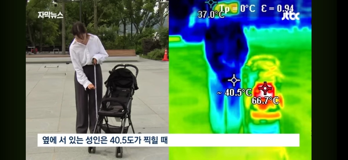 키가 작을수록 더위에 약한 이유 - 에누리 쇼핑지식 자유게시판