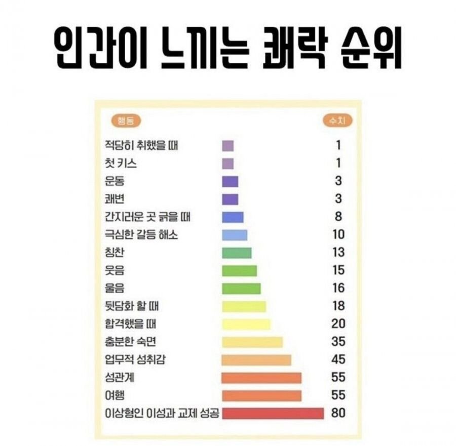 인간이 느끼는 쾌락순위 - 에누리 쇼핑지식 자유게시판