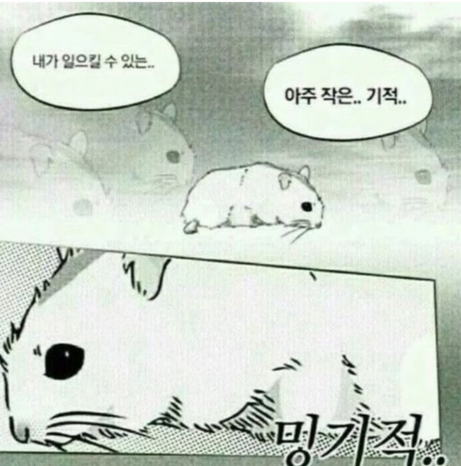 내가 일으킬 수 있는 아주 작은 기적 - 에누리 쇼핑지식 자유게시판