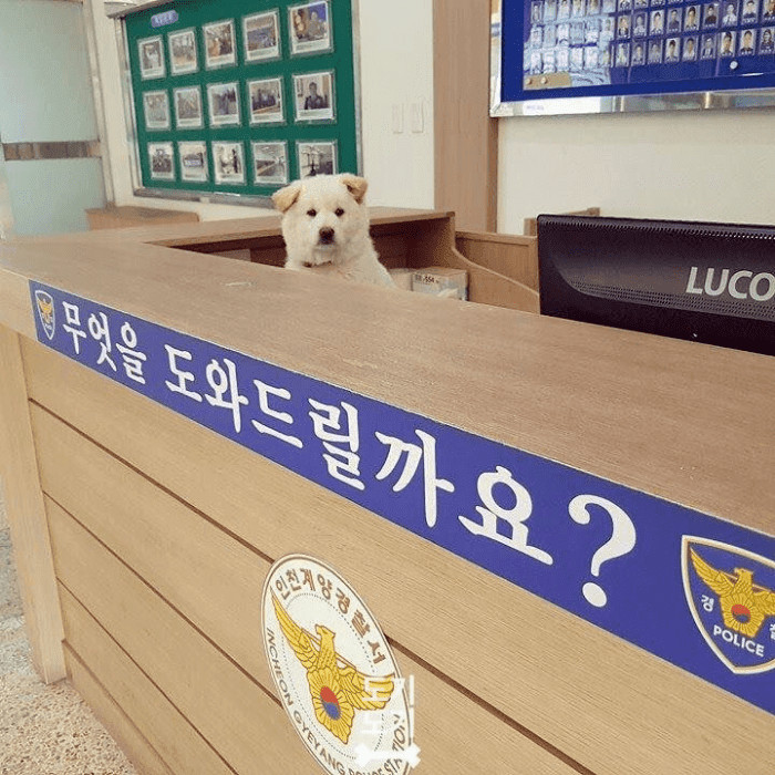 무엇을 도와드릴까요? | 인스티즈