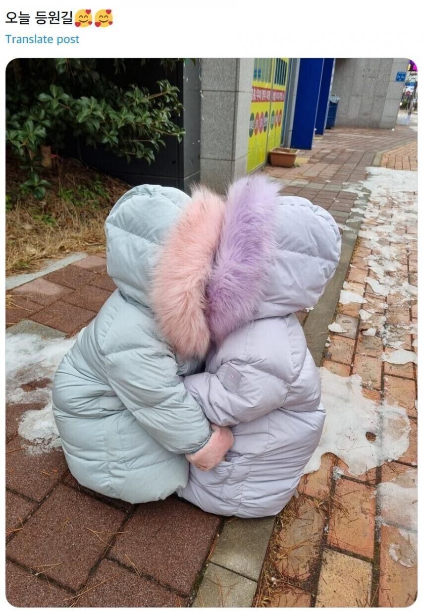 추워진 요즘 날씨에 애기들 | 인스티즈