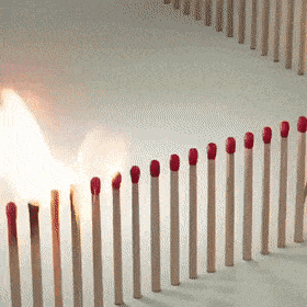 미안.. 난 타고싶지 않아.. | 인스티즈