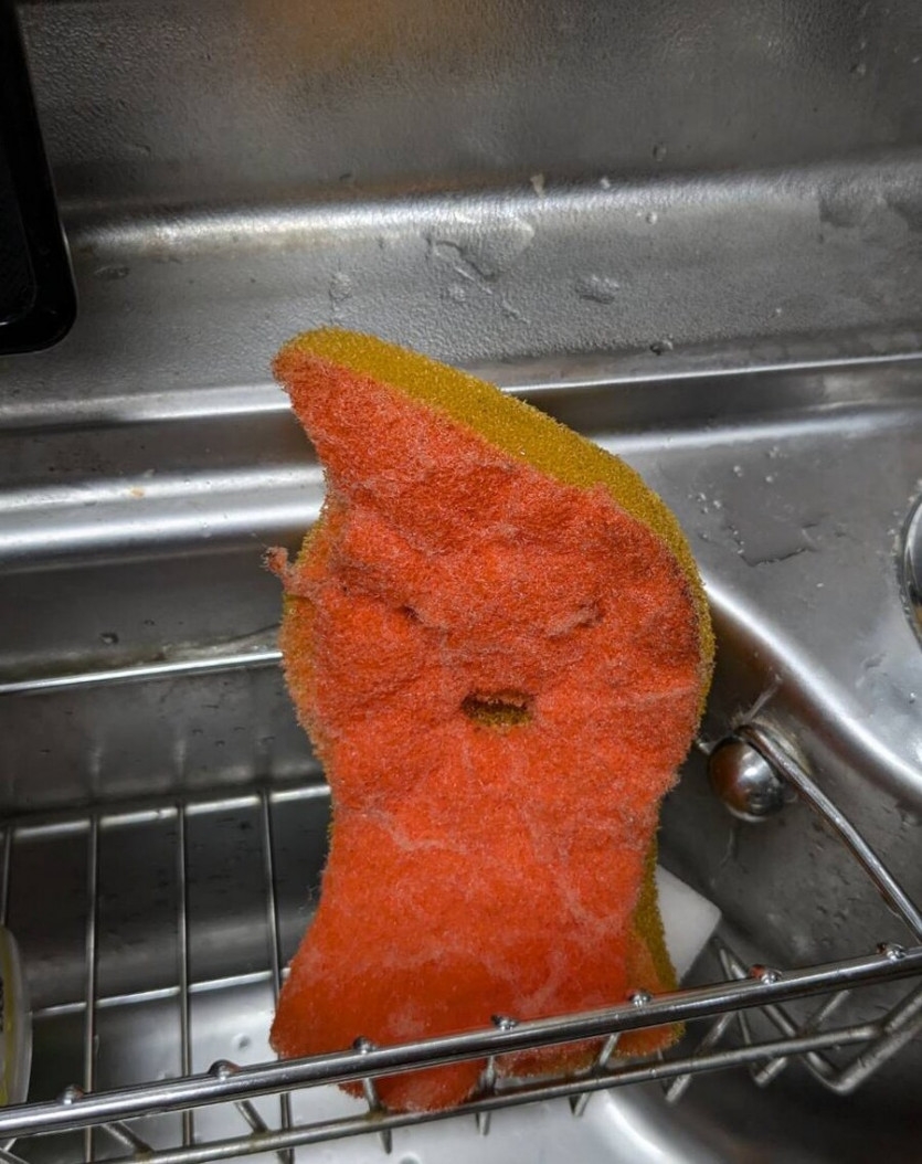 오래 사용한 수세미 | 인스티즈