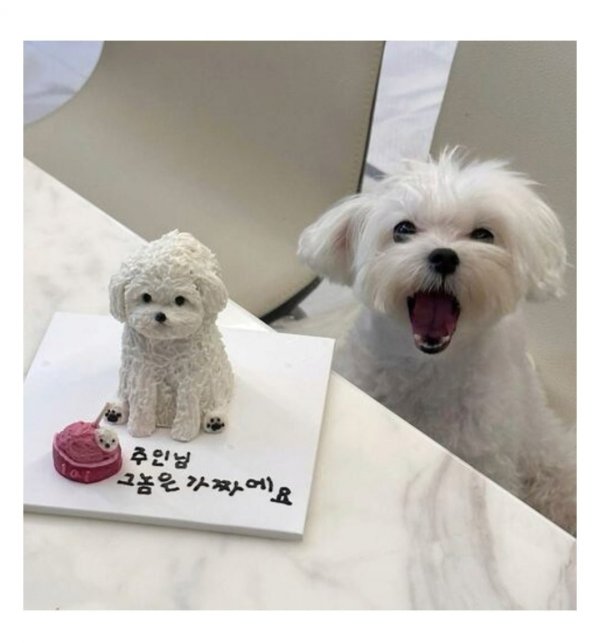 주인님 가짜에요 | 인스티즈