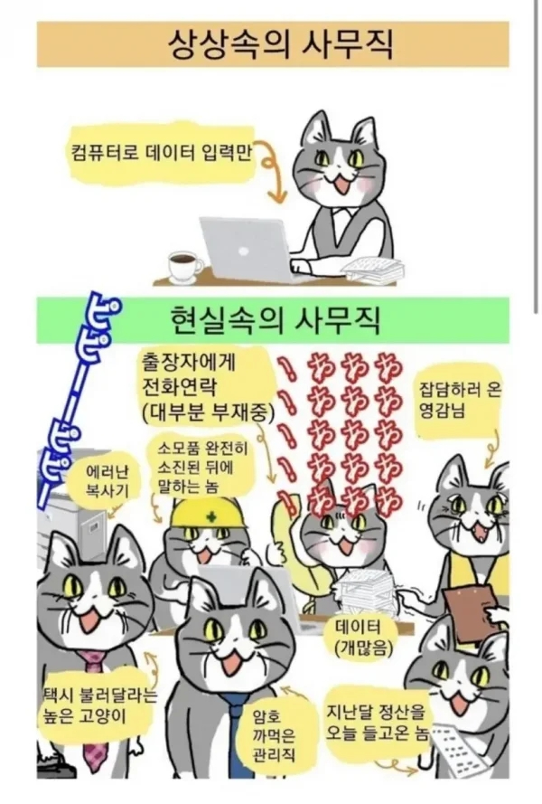 중소기업 사무직 현실 | 인스티즈