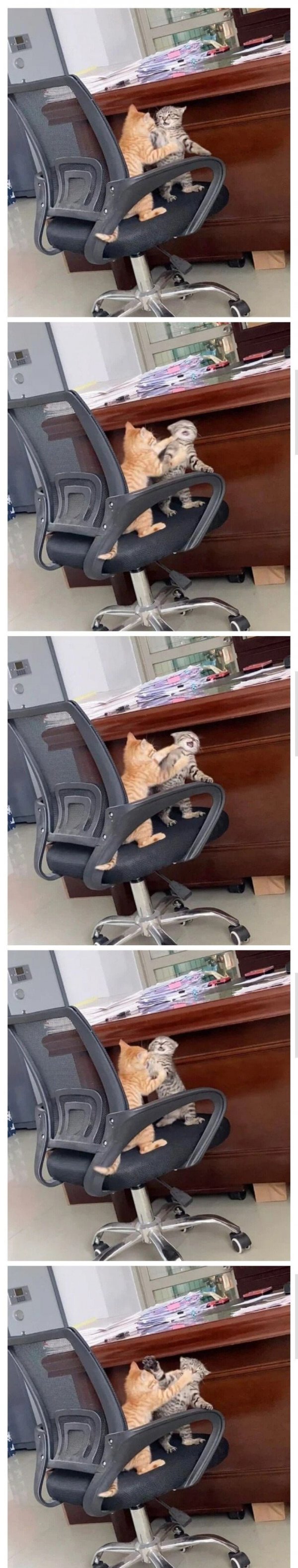 누가 사무실에서 싸우래! 사이좋게 지내라 했지! | 인스티즈