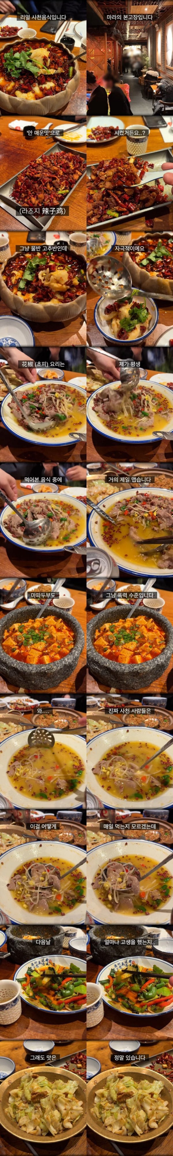 매운맛의 수준이 다르다는 사천 요리 | 인스티즈