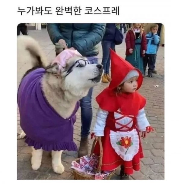 누가 봐도 완벽한 코스프레 | 인스티즈