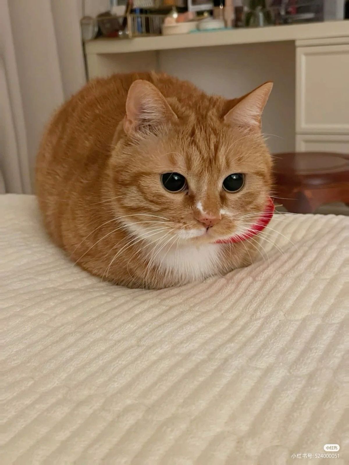 완벽하게 구운 빵 | 인스티즈