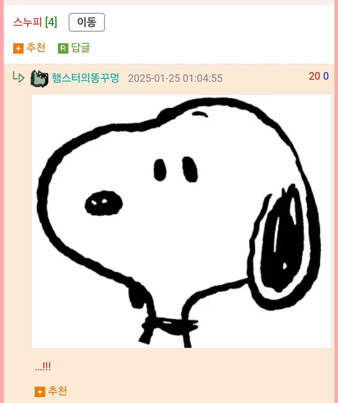 당신은 이 사진을 이해할 수 있습니까? | 인스티즈