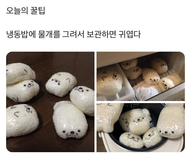 냉동밥 보관 | 인스티즈