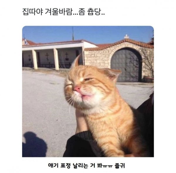 집따야 겨울바람..좀 츕당 | 인스티즈