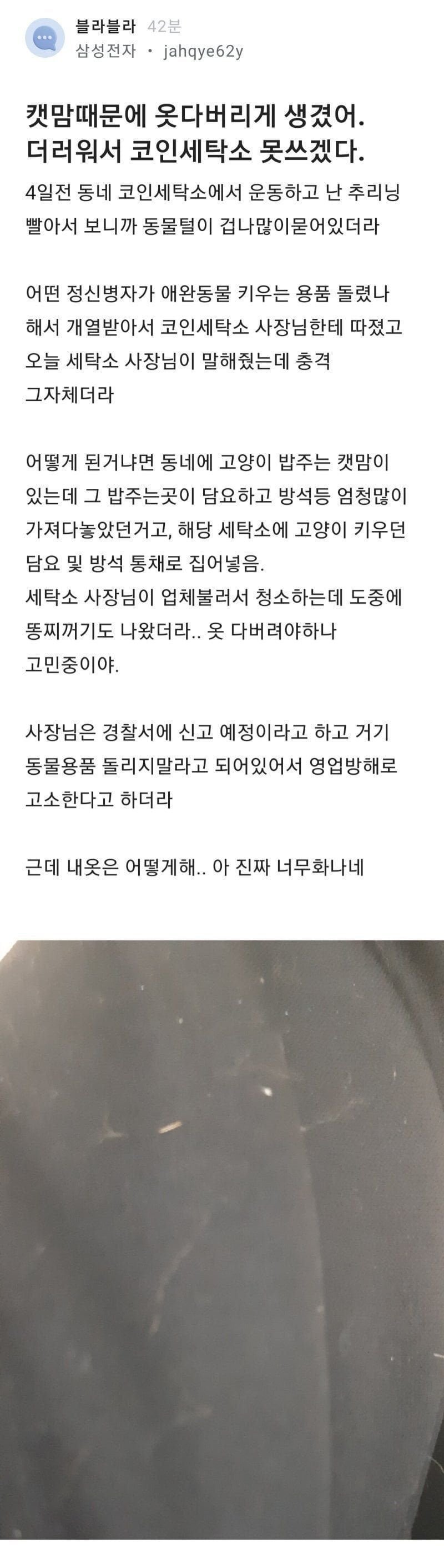 요즘 코인 세탁소가 힘든 이유 - 에누리 쇼핑지식 자유게시판