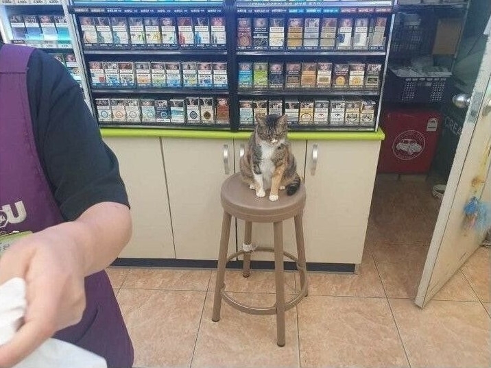 뒤에서 알바 지켜보는 점장 | 인스티즈