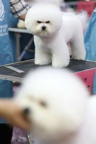 무조건 쟤보단 예쁘게 해주세요 | 인스티즈