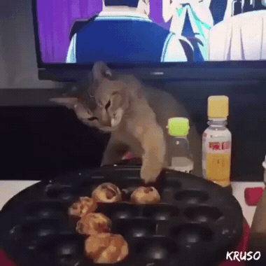 타코야끼 자동으로 뒤집어 주는 | 인스티즈