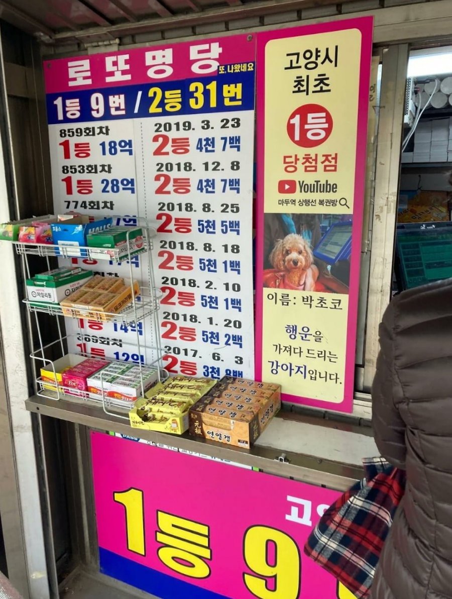 반려동물 키우는 사장님들 특징 | 인스티즈