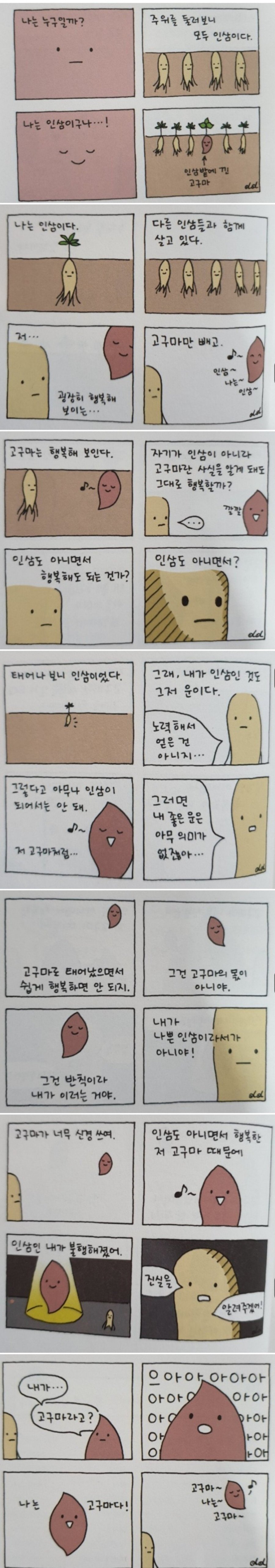 인삼 밭에서 자란 행복한 고구마 | 인스티즈