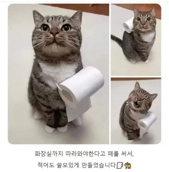 쓸모가 없다면 쓸모 있게 만들어 주자 | 인스티즈