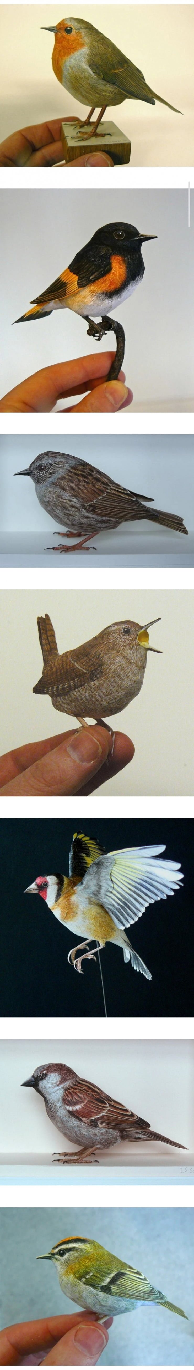 금손이 만든 새 | 인스티즈