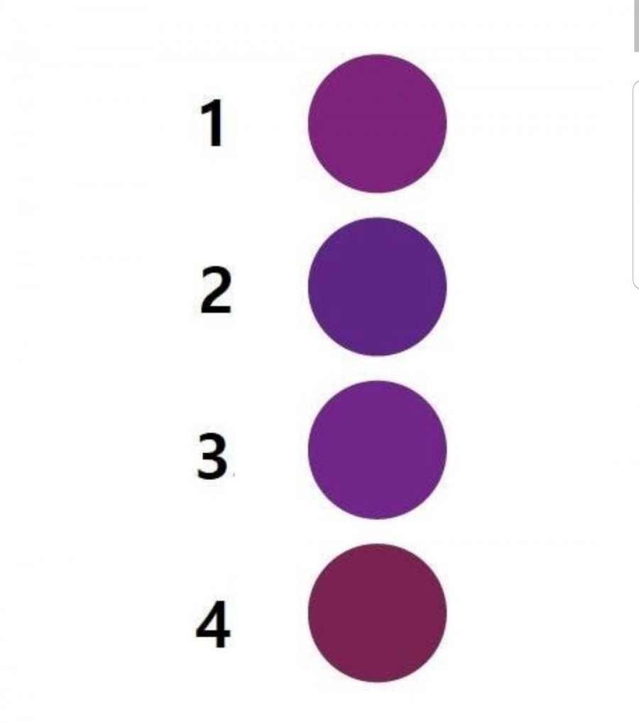 당신의 보라색은 뭔가요 | 인스티즈