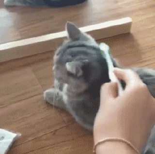 쓰담쓰담 | 인스티즈