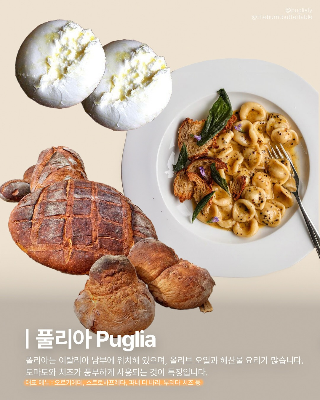 이탈리아 지역별 대표 음식 | 인스티즈