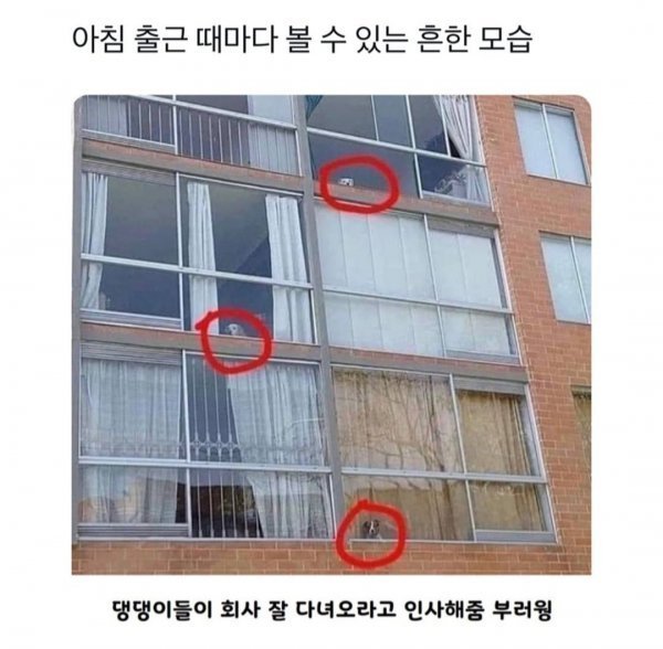 아침 출근 때마다 볼 수 있는 흔한 모습 | 인스티즈