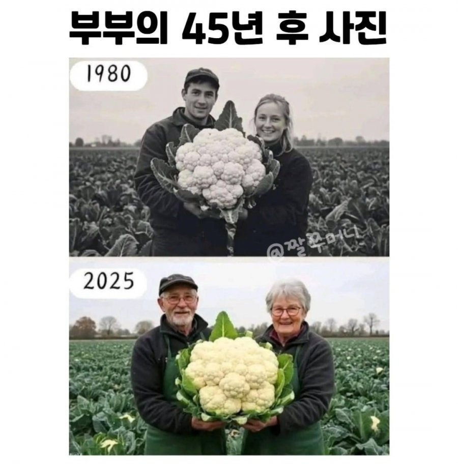 부부의 45년 후 사진 | 인스티즈