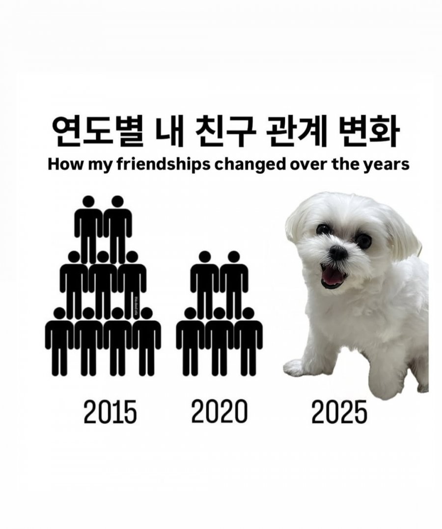 연도별 내 친구관계 변화 | 인스티즈
