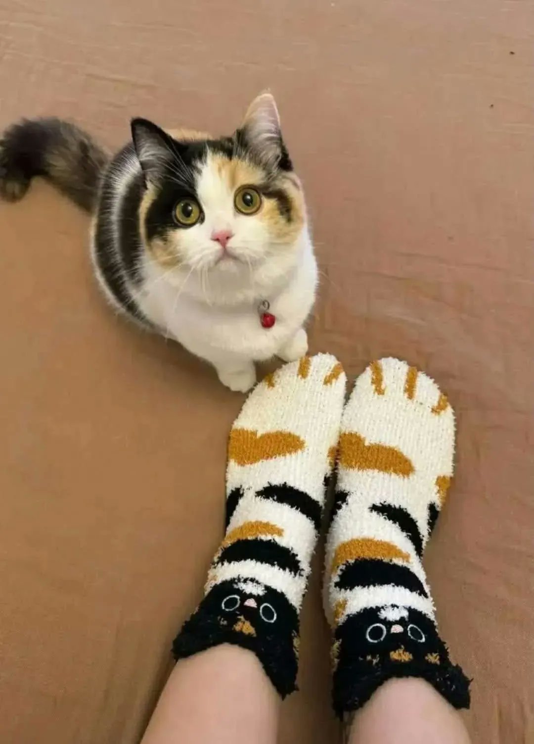 고양이랑 커플양말 구매함 | 인스티즈